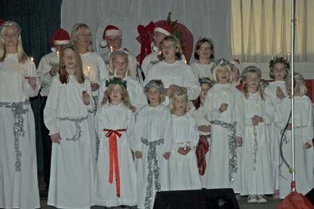 166Julmarknad2008